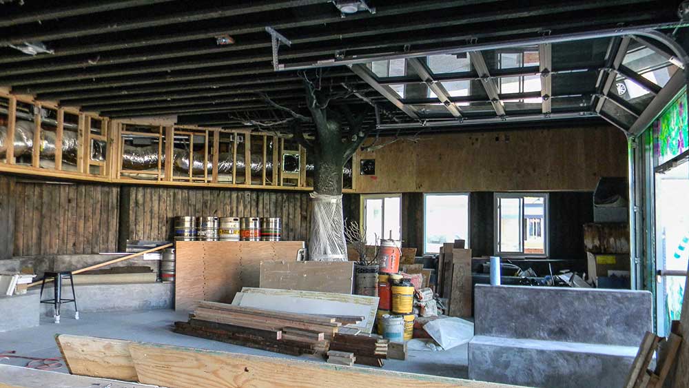 restaurant and bar remodel of blue parrot into bar 1502 in ocean beach san diego california